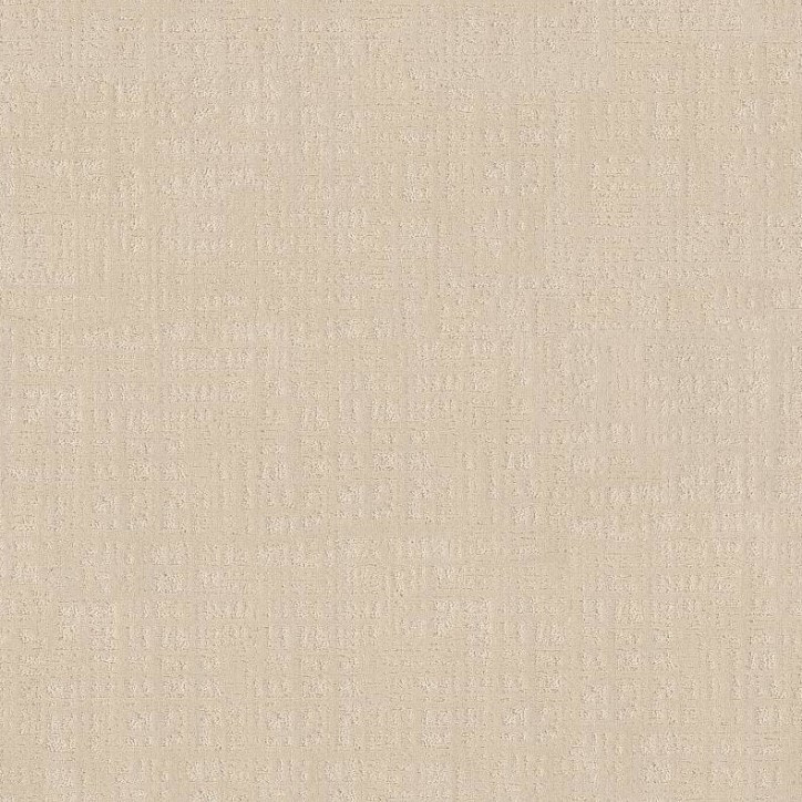 Shaw Natural Instinct 5E932 Residential Carpet
