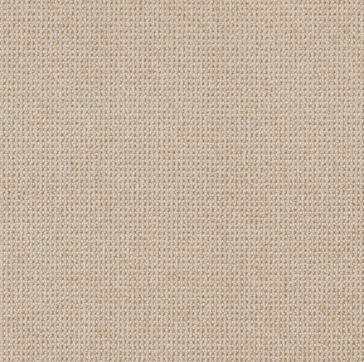 Anderson Tuftex Purrfection Matchstick 960 SF Residential Carpet