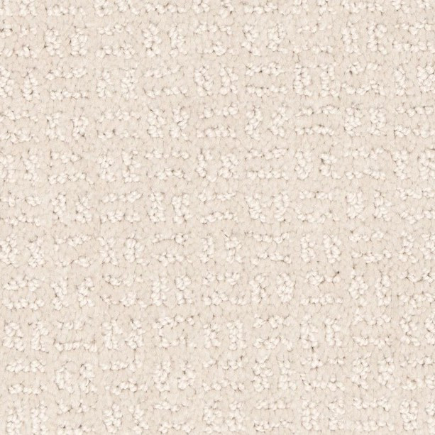 Buy Mohawk SmartStrand Quality Space Carpet at Georgia Carpet