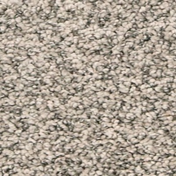 Mohawk Pet Premier Paw Pathway SP413 Residential Carpet