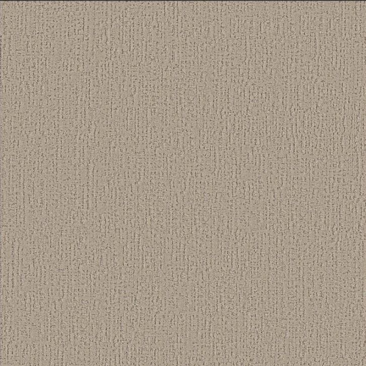 Shaw Anso Colorwall Curated Tone 5E919 Residential Carpet