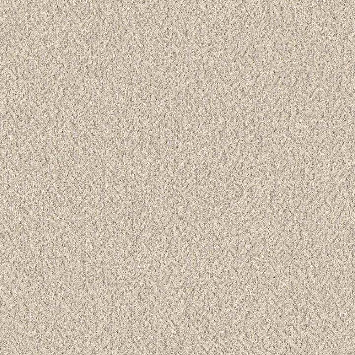 Shaw Joyful Spirit Residential Carpet