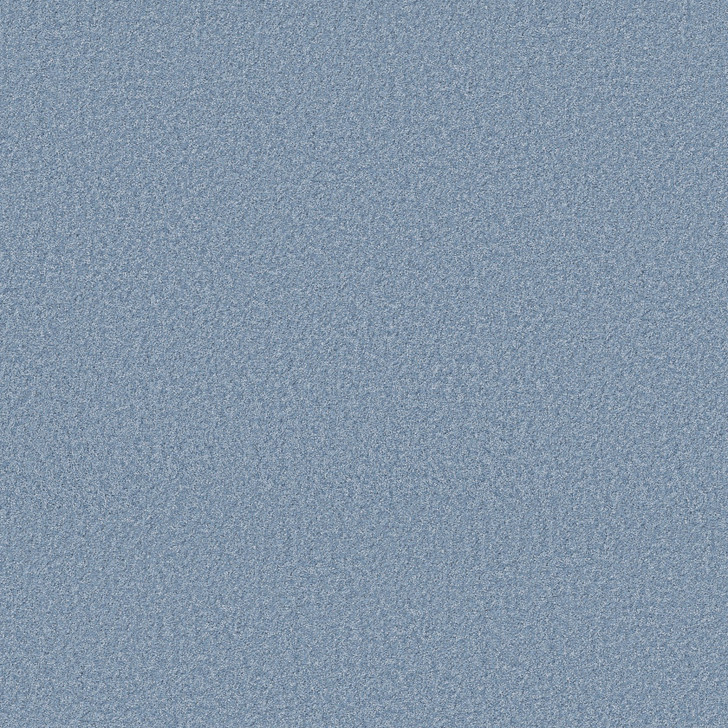 Shaw Pet Perfect The Bright Side 12' 5E894 Residential Carpet