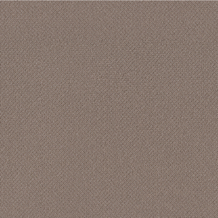 Shaw Simply the Best Embellished 5E458 Residential Carpet