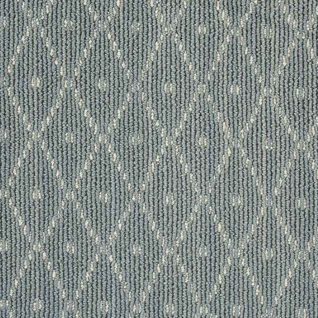 Nourison Lustrous Paragon Residential Carpet