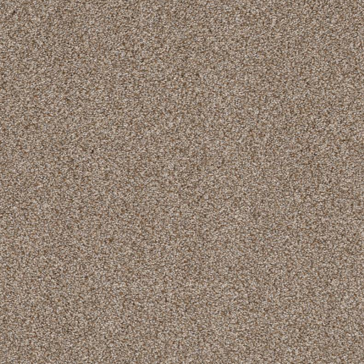 Shaw TruSpirit II 5E497 Residential Carpet