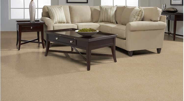 commercial grade carpet for sale