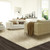 Stanton Avantgarde Shaggy Glamazon Polypropylene Fiber Residential Carpet Room Scene