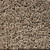 Front Runner (S) - 7107 Doeskin - Residential Carpet