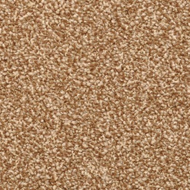 Buy Dixie Home Cozy 5471 at Georgia Carpet for an Affordable Price