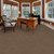 Dixie Home Cozy 5471 Residential Carpet Room Scene