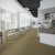 Engineered Flooring Contract Flip Side 24" x 24" Commercial Carpet Tile Room Scene