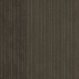 シ*ー様 APT-005 Buy Shaw Philadelphia Disclose Carpet Tile at Georgia Carpet