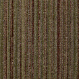 Buy Shaw Philadelphia Wired Carpet Tile at Georgia Carpet