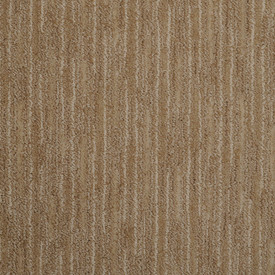 Buy Masland Artistic Vision Residential Carpet at Georgia Carpet
