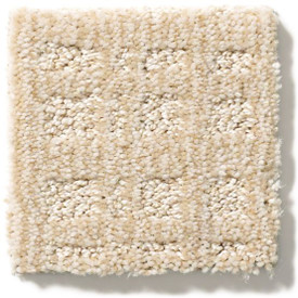 Anderson Tuftex Pet Perfect Purrsuasion ZZ082 Carpet