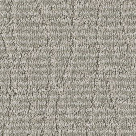 Anderson Tuftex Pet Perfect Plus Chit Chat Carpet 12ft | Georgia