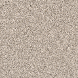 Dream Weaver Exceptional II 7404 Carpet at Georgia Carpet for