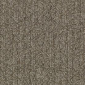 Buy Mohawk Brilliantly Amazed Carpet Tile at Georgia Carpet for