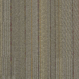 Buy Shaw Philadelphia Unify Carpet Tile at Georgia Carpet