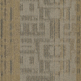 Buy Shaw Philadelphia Intermix Carpet Tile at Georgia Carpet