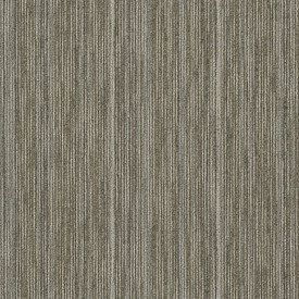 専用 ＊ 0728＊phyllanthera Buy Shaw Philadelphia Praise Commercial Carpet at Georgia Carpet