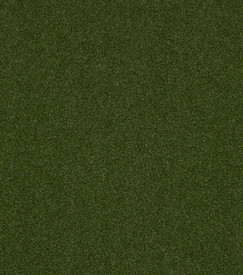 Shaw Philadelphia Agility Unitary Green is Available for an