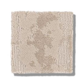 Buy Anderson Tuftex Nylon Residential Carpet at Georgia Carpet for a Great  Price