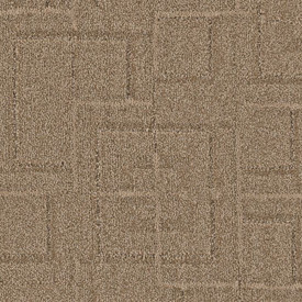 Anderson Tuftex Signature Path ZZ293 Residential Carpet