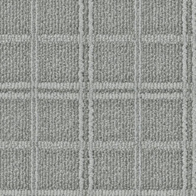 Anderson Tuftex Breeze Block Nylon Carpet 35 oz | Georgia Carpet