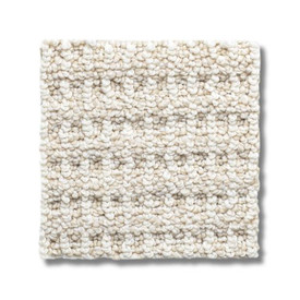 ジュホン　サノクトレカ Anderson Tuftex Portofino Nylon Carpet 27oz 18 Colors | Georgia Carpet