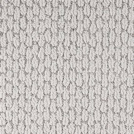 Top【選抜株】22742アーラクノイデアム x SP.錦　40個　鉢無し/脱土 Dixie Home Capella is Available for a Great Price at Georgia Carpet.