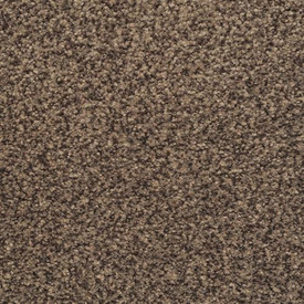 Dixie Home Chromatic Touch is Available for a Great Price at