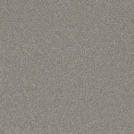 Dreamweaver Royale I 5137 Carpet at Georgia Carpet for Great Value