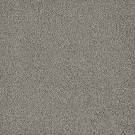 800_Silver_Birch__06266. 800_Silver_Birch__06266.