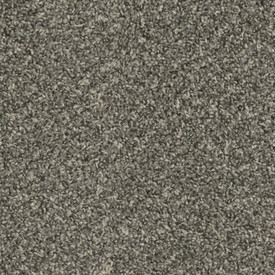 Dreamweaver SP250 Carpet at Georgia Carpet for Great Value