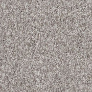 Shaw Anderson Tuftex Terra Nova ZZ252 Residential Carpet