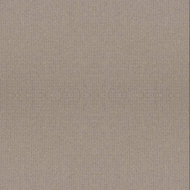 Anderson Tuftex Pet Perfect Plus Lyric ZZ257 Carpet