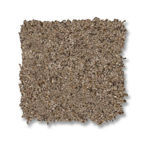 Anderson Tuftex Reawaken Topanga Canyon ZZ265 Carpet