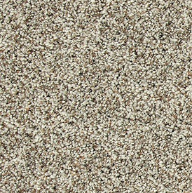 Buy Mohawk Everstrand Soft Tempo II Residential Carpet for A Great