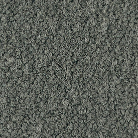Buy Mohawk Influencer 36 2B208 Residential Carpet for A Great Value
