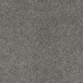Buy Dreamweaver Gold Standard II 4056 Residential Carpet at