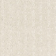 Mohawk Quality Surface 3L53 Residential Carpet