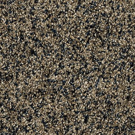 Mohawk 3M37 Purrsonality II Carpet 12 Foot Width Polyester