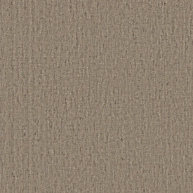 Anderson Tuftex Sensate Wool Carpet - Made in USA | Georgia Carpet