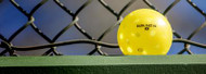 FIND WHICH PICKLEBALL IS RIGHT FOR YOU
