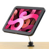 iPad Mount