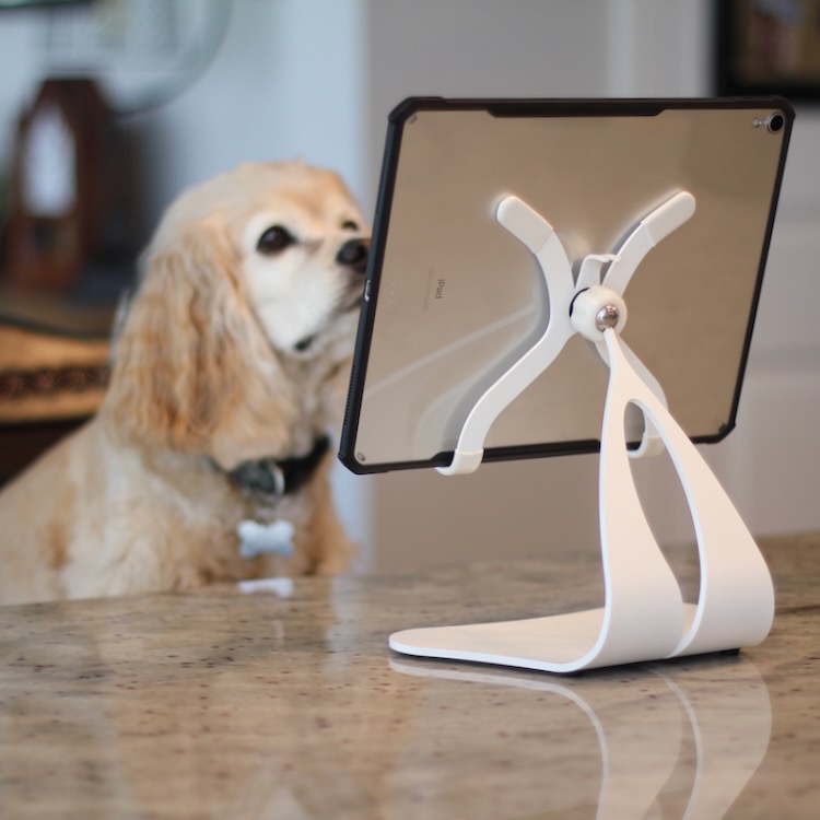 White iPad Stand with dog watching at counter