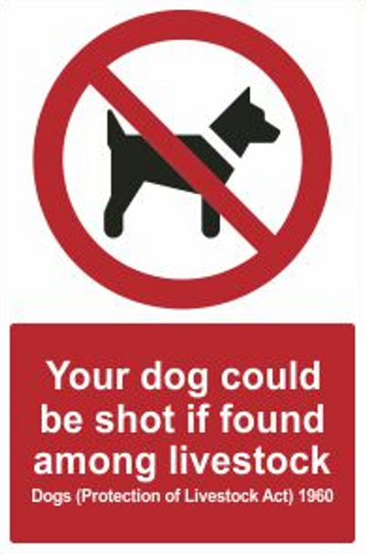 Dog Could Be Shot Safety Sign