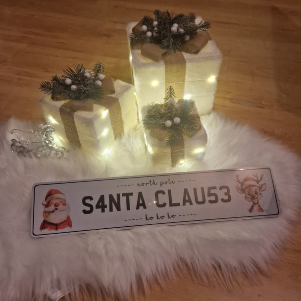 Santa's Missing Plate (S2)